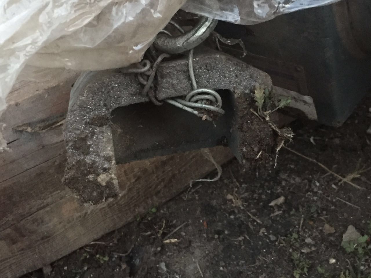 1675931274175002.jpg download.jpg